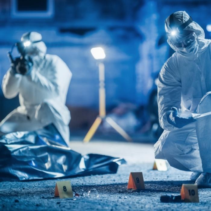 Abgetrennter Männerkopf neben Leichenteilen auf Müllhalde entdeckt