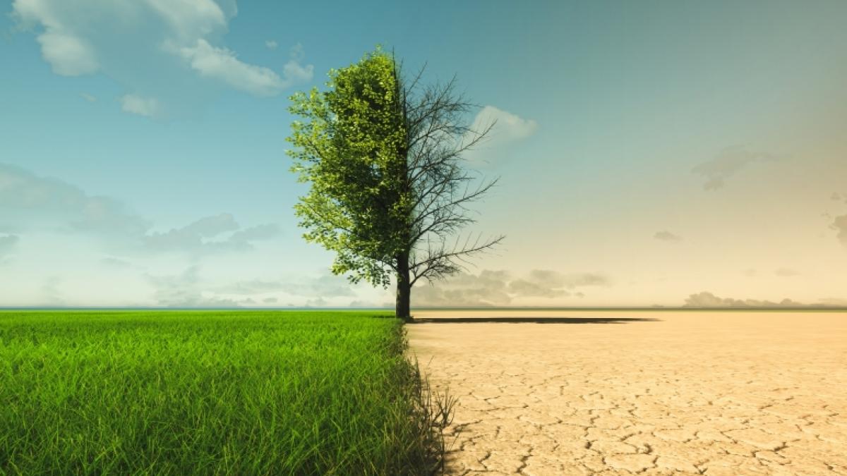 L&ouml;scht der Klimawandel die Menschheit aus? (Foto)