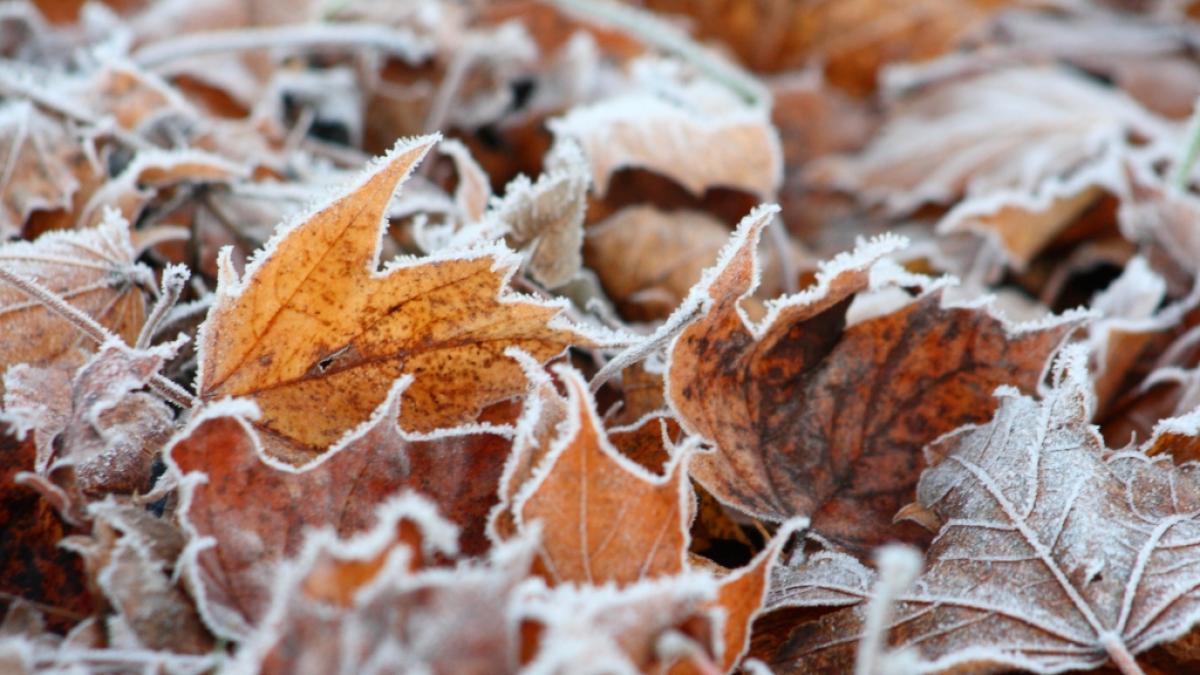 Droht uns ein fr&uuml;her Wintereinbruch? (Foto)