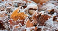 Droht uns ein früher Wintereinbruch?