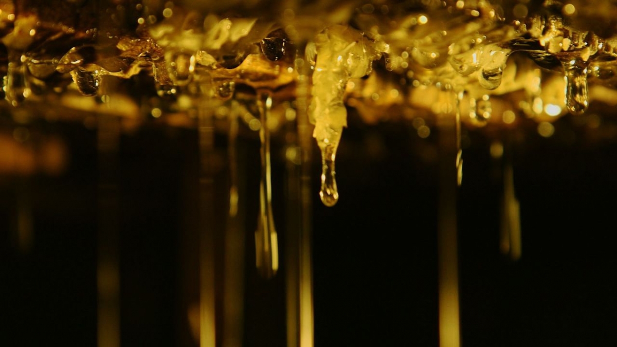 Die Bienenfl&uuml;sterer bei Arte (Foto)