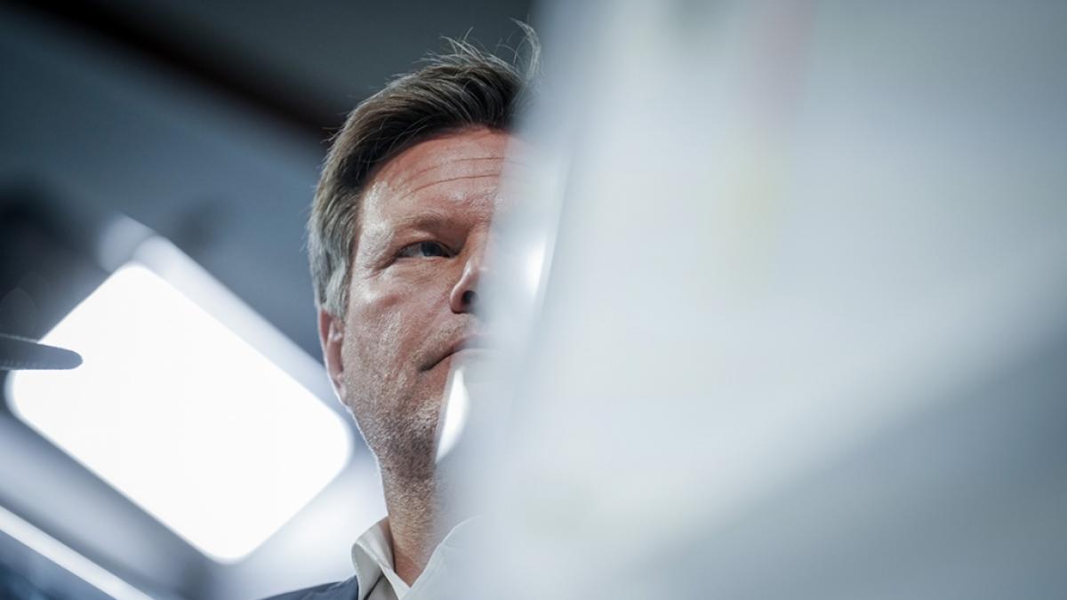 Verschweigt Robert Habeck bei seinem geplanten Heiz-Hammer den B&uuml;rgern enorme Kosten? (Foto)