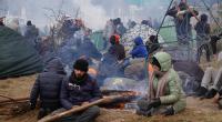 Migranten bei einem Waldstück an der polnisch-belarussischen Grenze in Kuznica.