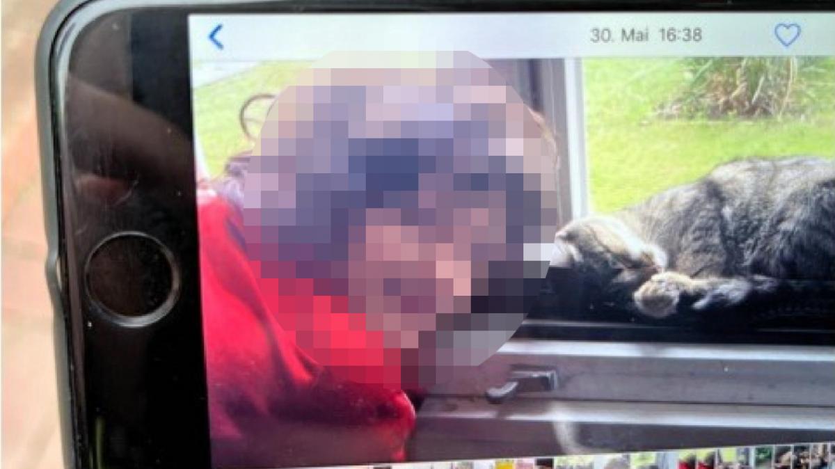 Aufatmen in Oldenburg: Der tagelang vermisste Joe (8) ist lebend gefunden worden. (Foto)