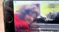 Aufatmen in Oldenburg: Der tagelang vermisste Joe (8) ist lebend gefunden worden.