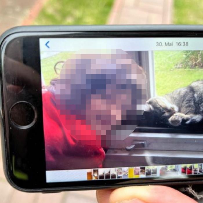 Vermisster Junge lebend in Gully gefunden - Fremdverschulden ausgeschlossen
