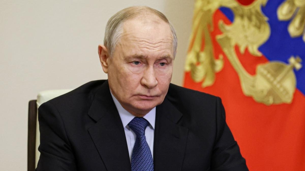 Wladimir Putin k&ouml;nnte laut einer Warnung einen gewaltsamen Konflikt mit Deutschland starten. (Foto)