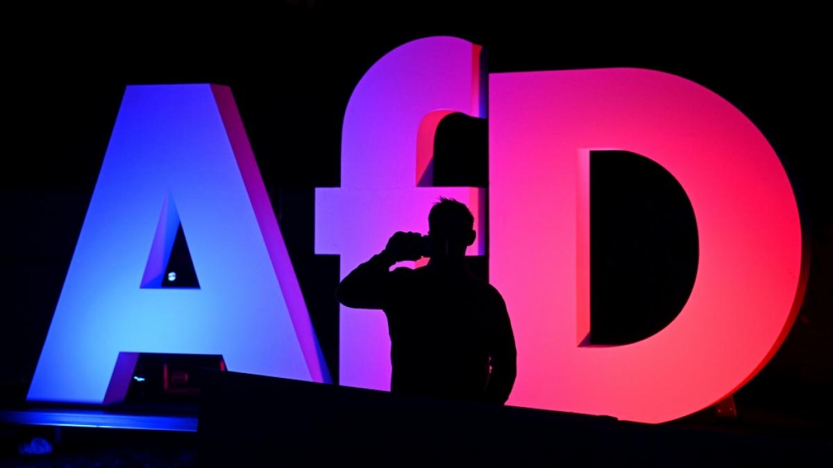 AfD-Politiker sollen sich im Landtag von Mecklenburg-Vorpommern &uuml;ber die Parkinson-Erkrankung eines Linken-Abgeordneten lustig gemacht haben. (Foto)