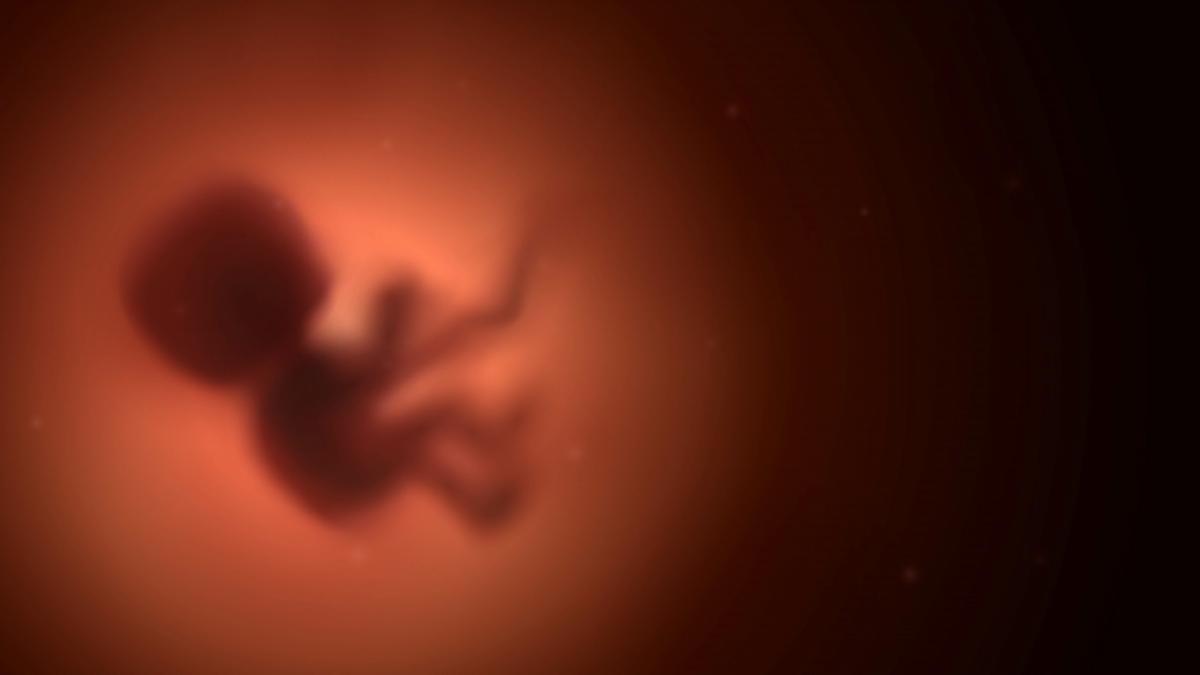 Eine Frau erlitt f&uuml;nf Fehlgeburten, weil Killerzellen die Embryos angriffen. (Foto)