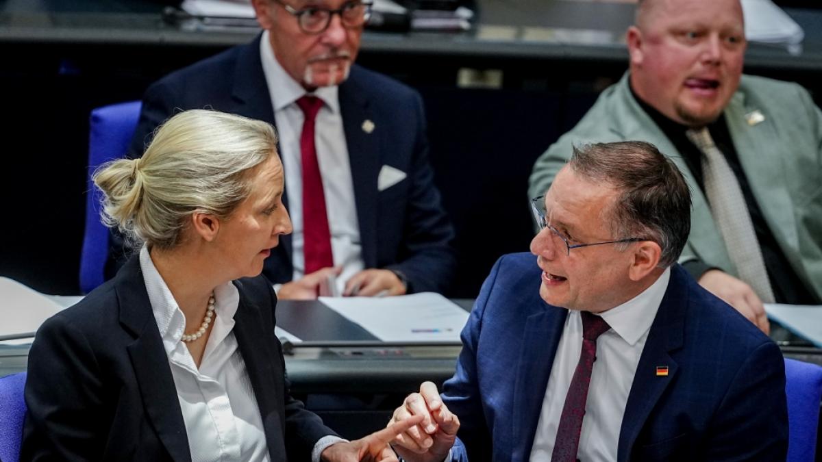 AfD unter Druck: Scharfe Kritik aus den eigenen Reihen sorgt f&uuml;r Unruhe (Foto)