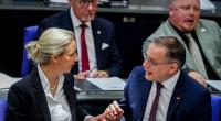 AfD unter Druck: Scharfe Kritik aus den eigenen Reihen sorgt für Unruhe