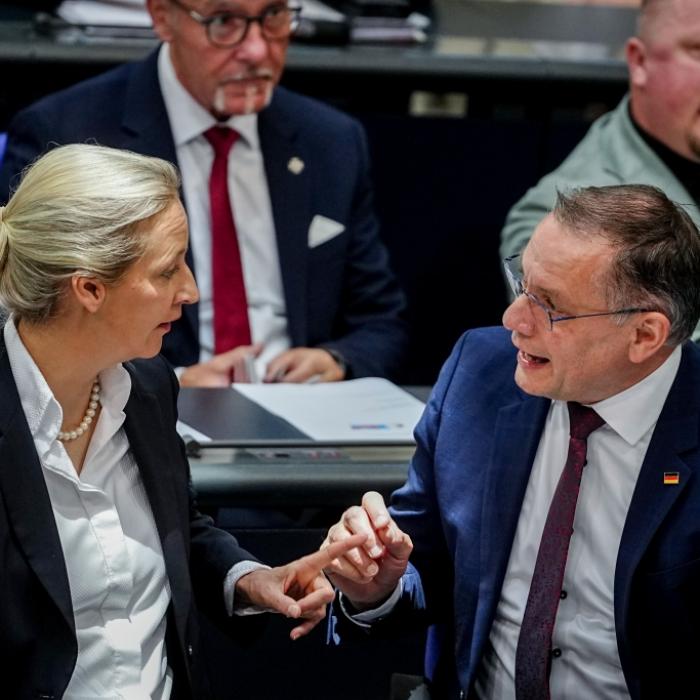 AfD-Politiker wirft Parteiführung 