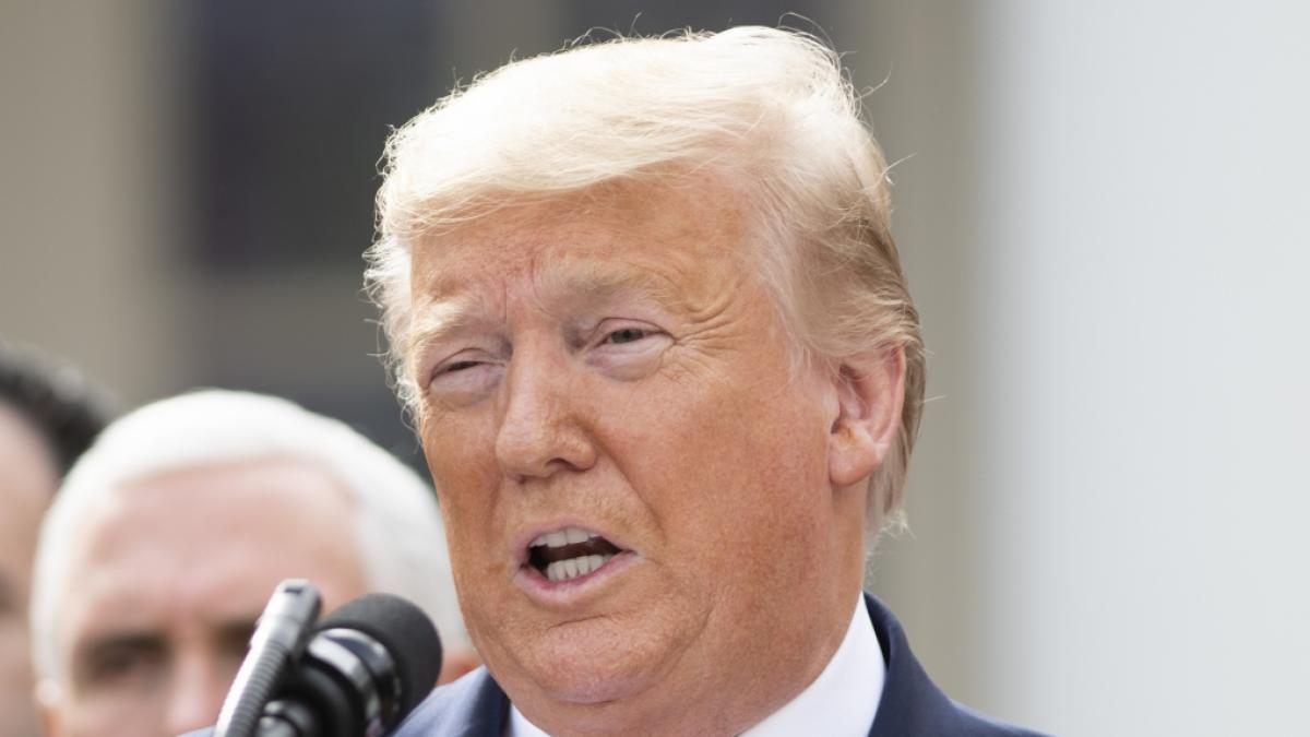 K&ouml;nnen Sie sich Donald Trump als DJ vorstellen? (Foto)