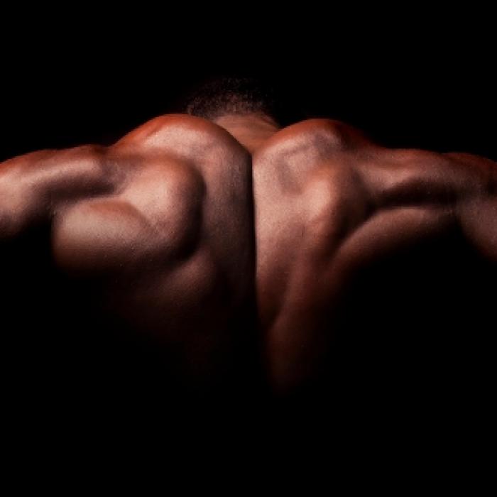 Auf dem Weg ins Fitnessstudio! Bodybuilding-Star (45) erschossen