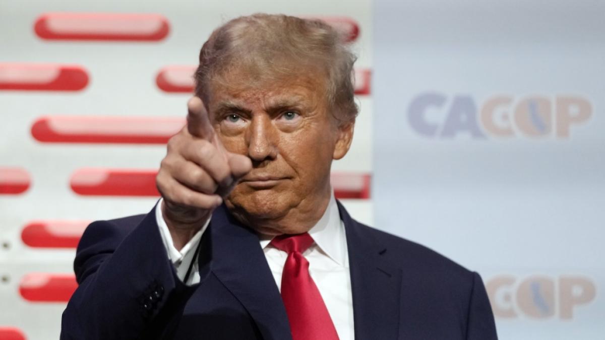 Donald Trumps Nichte analysiert seine Psyche. (Foto)