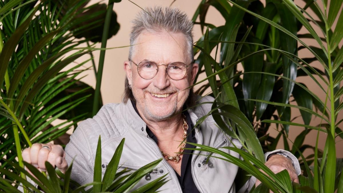 Es ist offiziell! Schauspieler Martin Semmelrogge hat es nicht in den australischen Dschungel geschafft. (Foto)