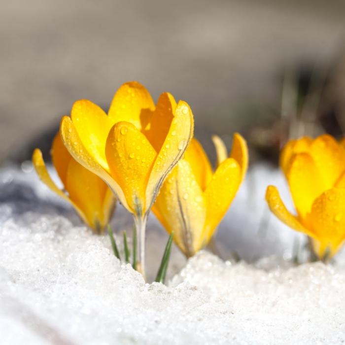 Polarluft überrollt Deutschland! Meteorologe warnt vor 