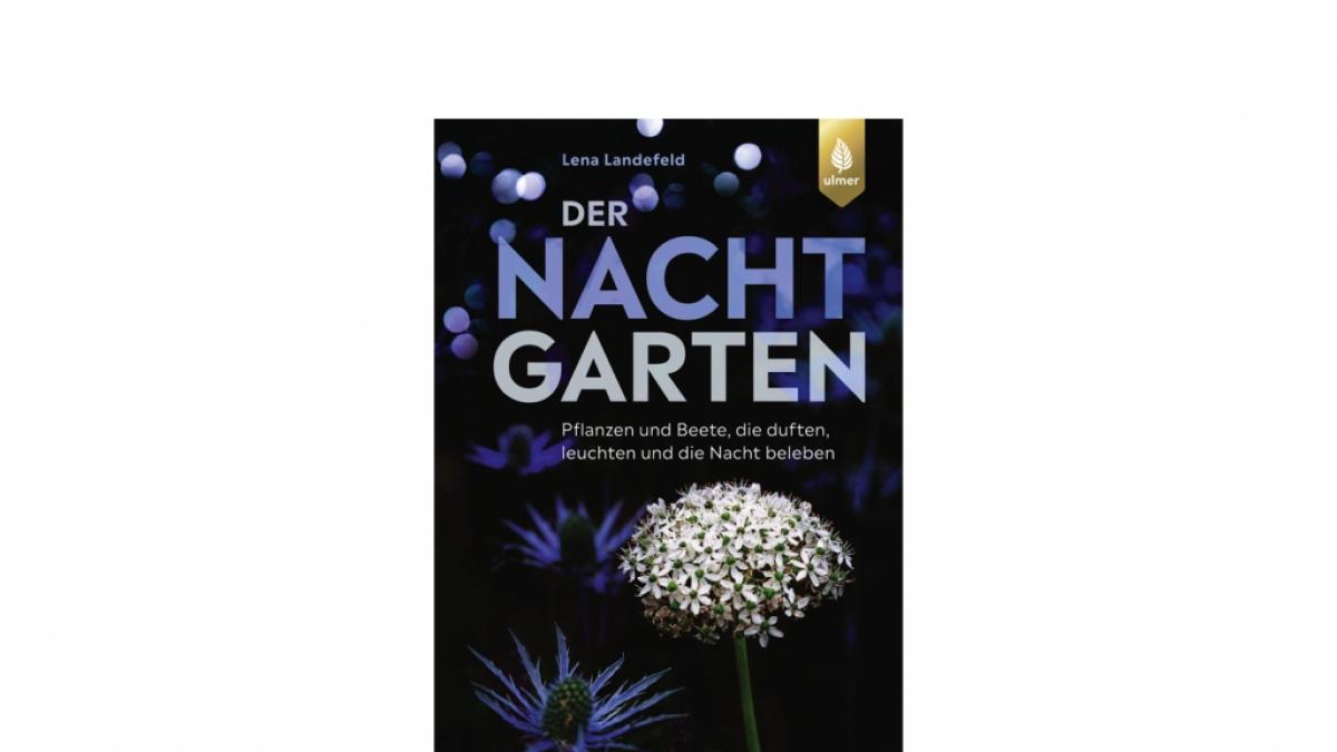 "Der Nachtgarten" von Lena Landefeld (Foto)