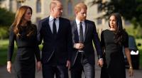 Auch wenn Prinz Harry und Meghan Markle inzwischen wieder in Großbritannien leben: Gemeinsame Auftritte mit Prinzessin Kate und Prinz William sind in naher Zukunft nicht zu erwarten.