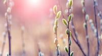 Wie wird das Wetter an Ostern 2023?