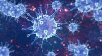 Zerstören mehrfache Corona-Infektionen die Immunantwort?