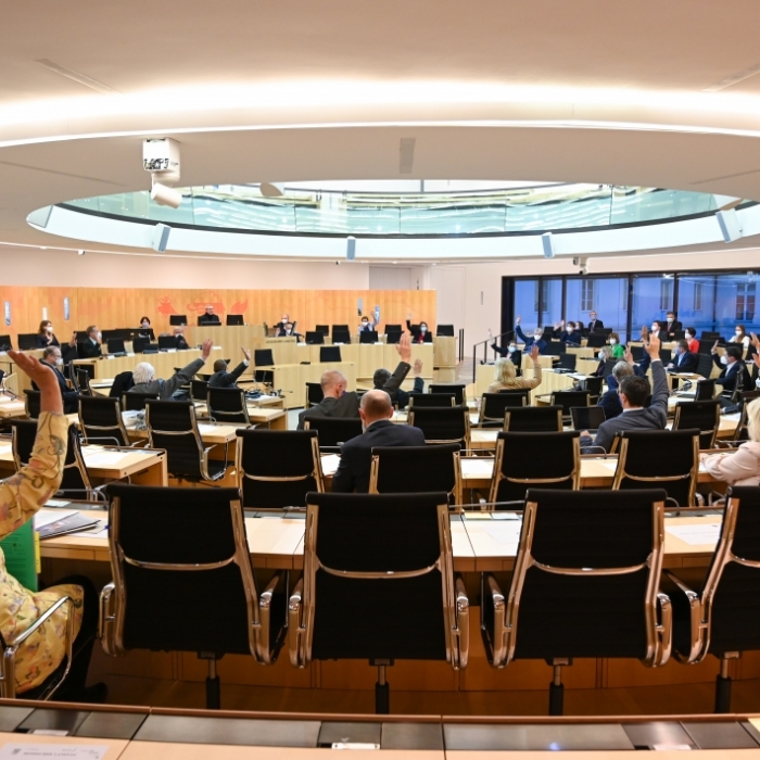 Initiative der AfD wird im Hessischen Landtag nicht abgelehnt
