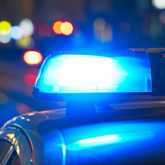 Horror-Mutter erhängt Kinder und hat Sex mit Hund