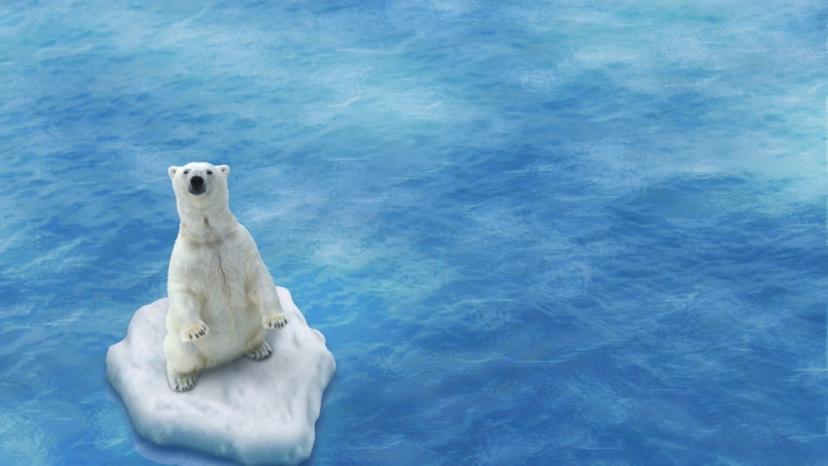 Der Klimawandel hat dramatische Folgen. (Foto)