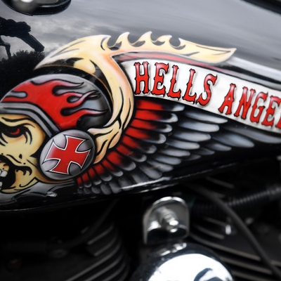 Hells Angels jagen dreisten Chihuahua-Dieb