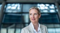 AfD-Chefin Alice Weidel rückt im neuesten INSA-Ranking in die Spitzengruppe vor.