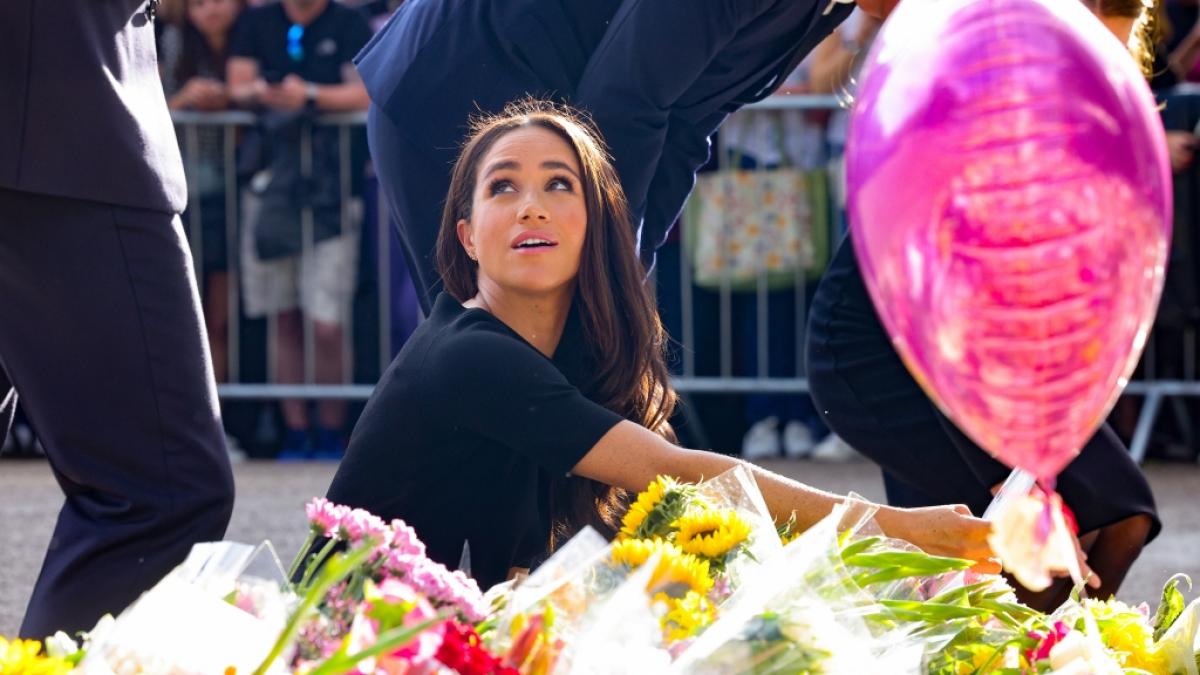 Meghan Markle: Neues Buch enth&uuml;llt riesigen Krach mit Prinz William (Foto)