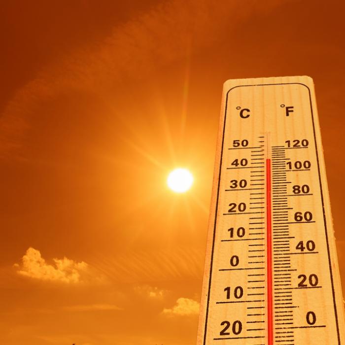 Laut Prognosen: Jahrhundert-Sommer scheint unausweichlich
