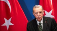Vor laufender Kamera ohrfeigte Recep Tayyip Erdogan ein Kind, weil es ihm nicht die Hand küsste.