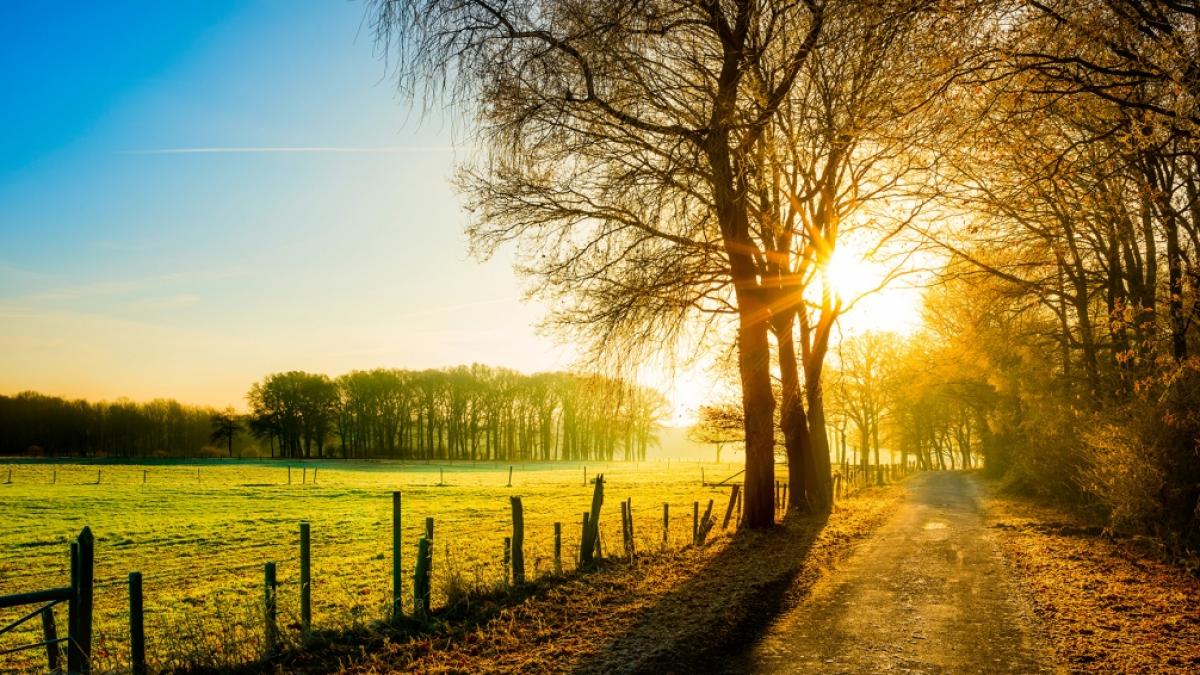 Bis zum Wochenende sollen die Temperaturen in einigen Regionen bis auf 20 Grad klettern. (Foto)