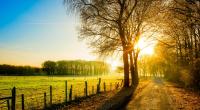 Bis zum Wochenende sollen die Temperaturen in einigen Regionen bis auf 20 Grad klettern.