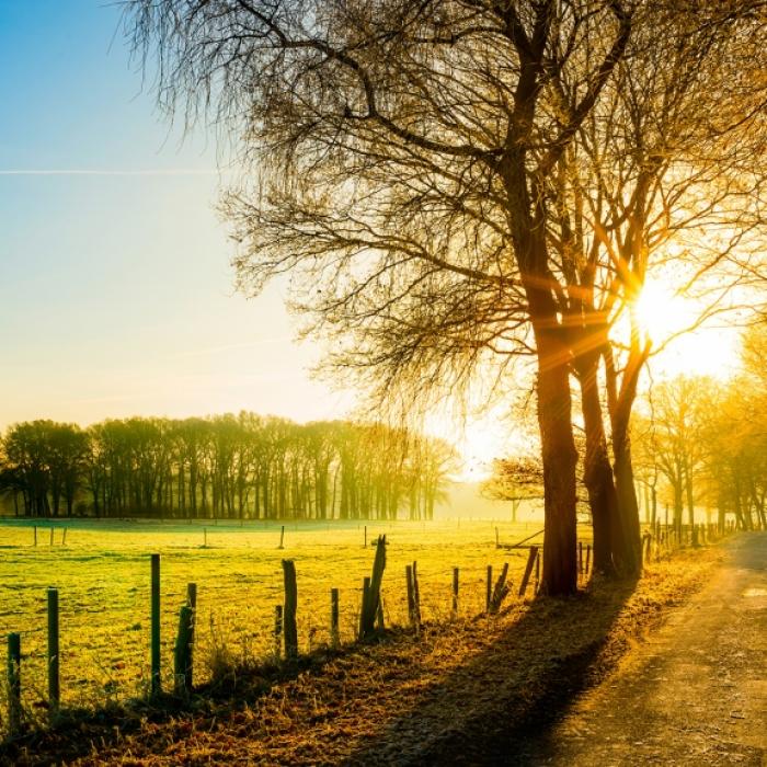 Erst bis zu 20 Grad, dann Temperatursturz! Kaltluft beendet goldenen Herbst