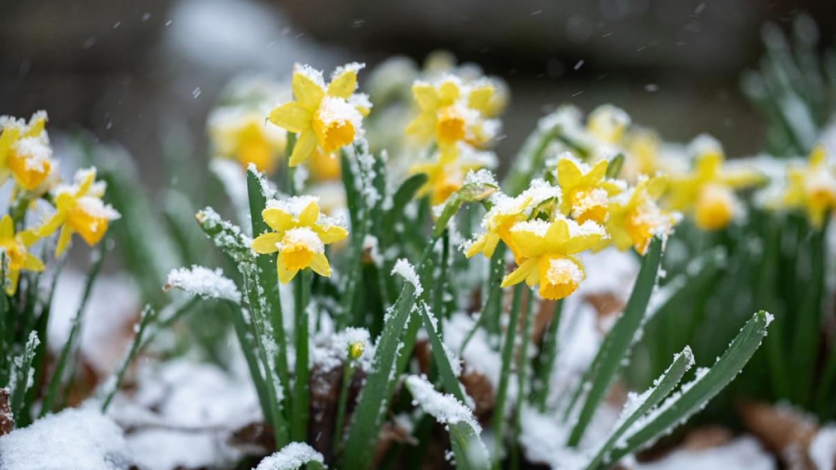 Die Karwoche beginnt mit typischem Aprilwetter. (Foto)