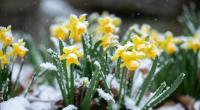 Die Karwoche beginnt mit typischem Aprilwetter.