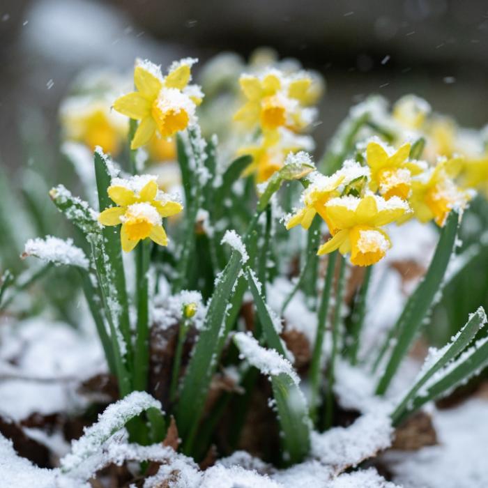 DWD warnt vor Sturm, Schnee und Frost