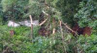 Während eines Unwetters im Kurort Rathen wurde ein Mann durch einen umgestürzten Baum erschlagen.