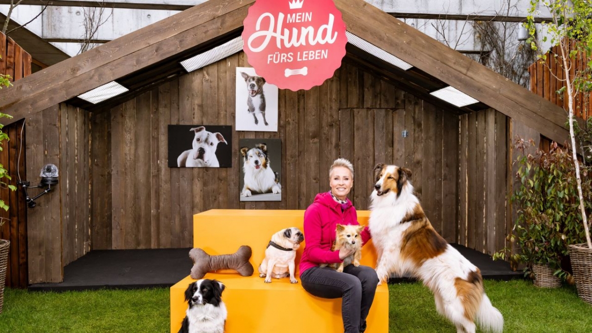 Mein Hund f&uuml;rs Leben bei ZDF (Foto)