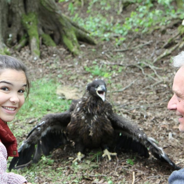 Anna und die wilden Tiere bei KiKA