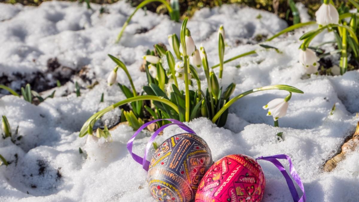 M&uuml;ssen wir die Ostereier in diesem Jahr im Schnee suchen? (Foto)