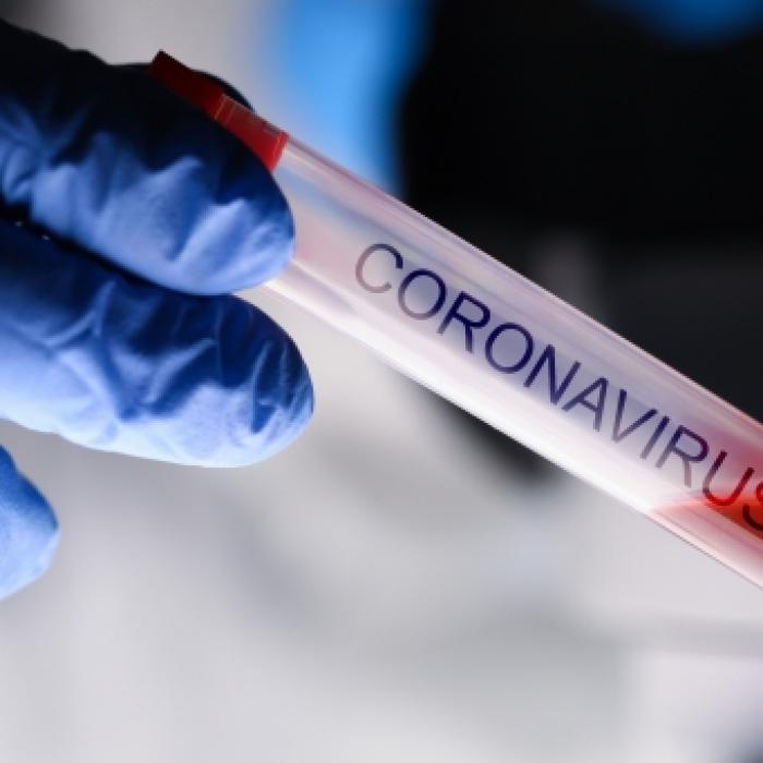 Experten schlagen Alarm! Mehr Tote wegen Corona-Regeln