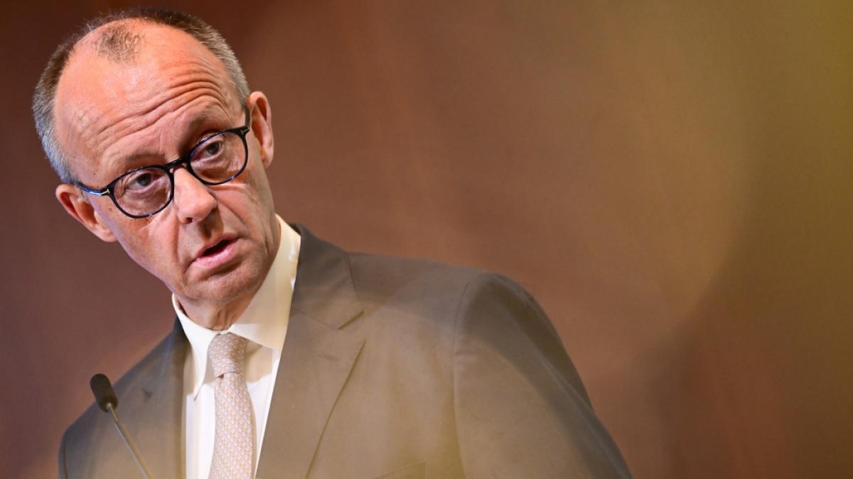 AfD auf dem Vormarsch: Experten sehen Vertrauenskrise der Merz-Regierung (Foto)