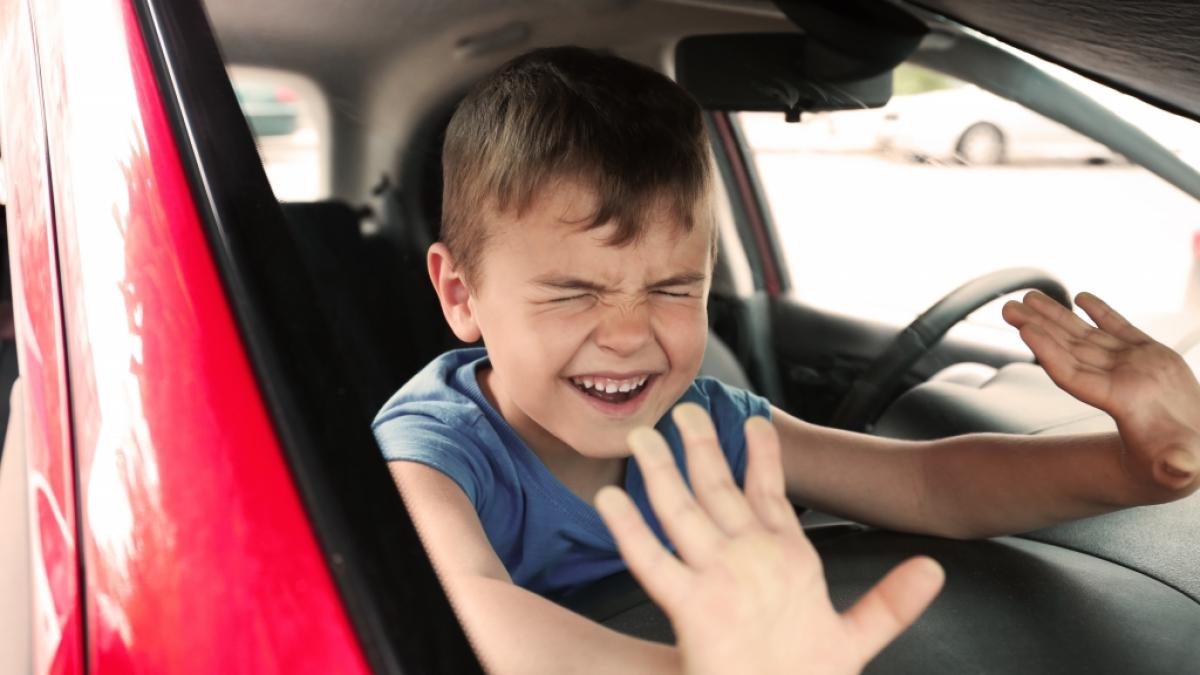Ein f&uuml;nfj&auml;hriger Junge starb einen qualvollen Tod, nachdem ihn seine Mutter stundenlang in einem &uuml;berhitzten Pkw vergessen hatte (Symbolfoto). (Foto)