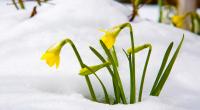 Ein kaltlufttropfen bringt den Winter zurück nach Deutschland.
