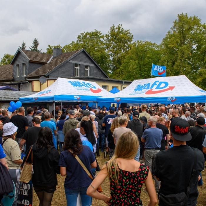 Was könnte eine AfD-Regierung mit absoluter Mehrheit tun?
