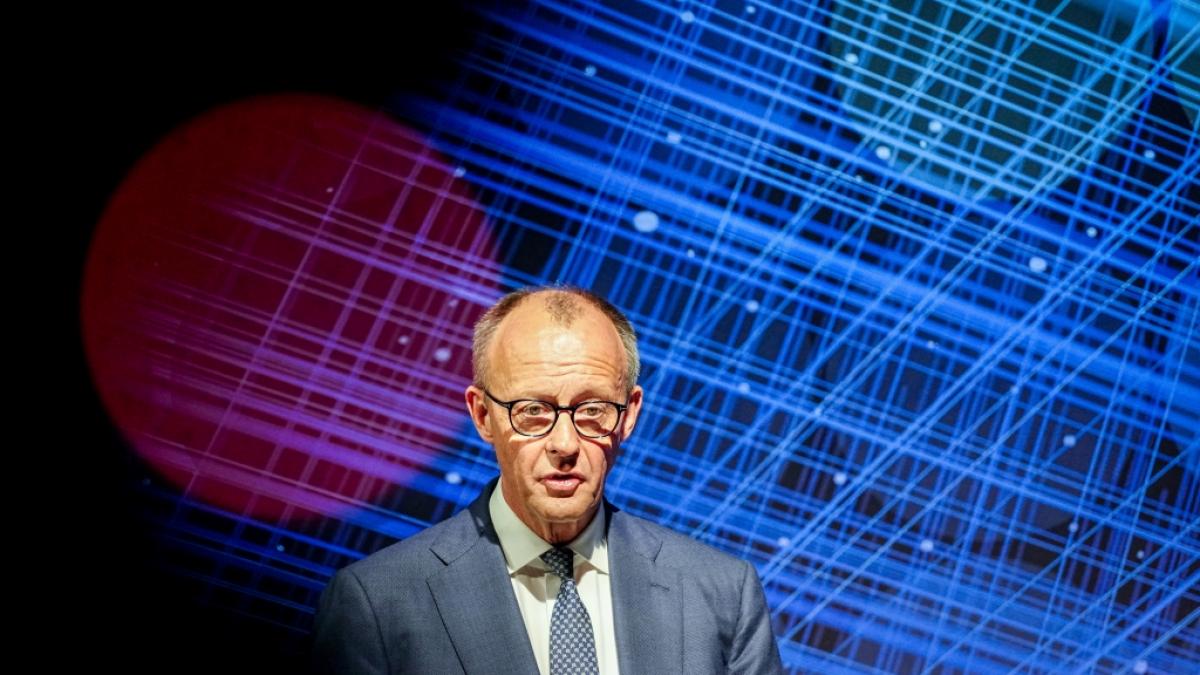 Friedrich Merz ist im aktuellen Insa-Politikerranking weit abgeschlagen. (Foto)