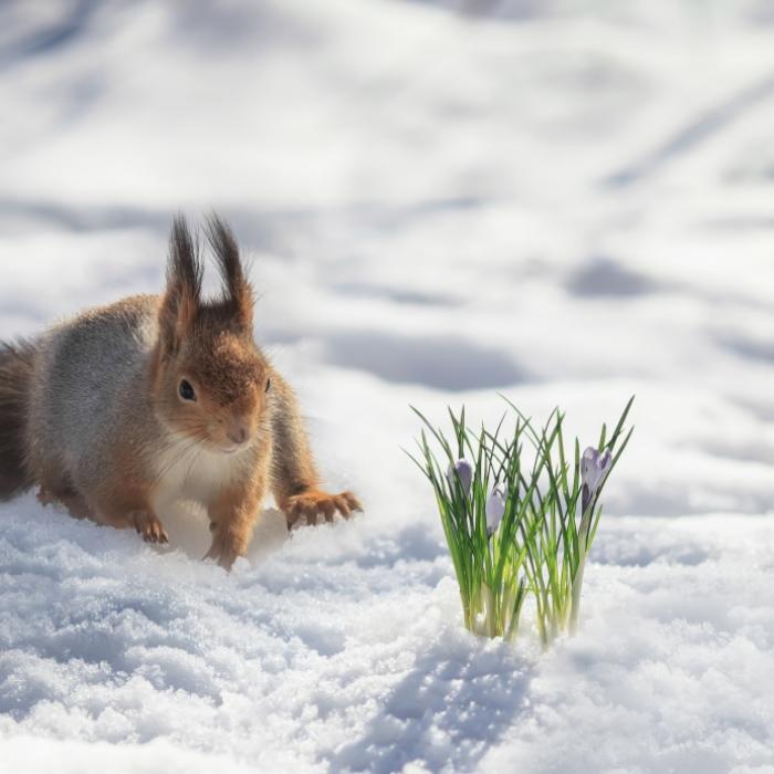Erneut Polarluft im Anmarsch! Eisiger Frühling in Deutschland
